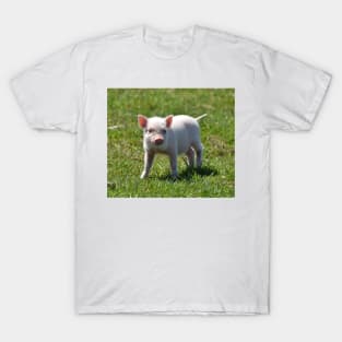 Piggy T-Shirt